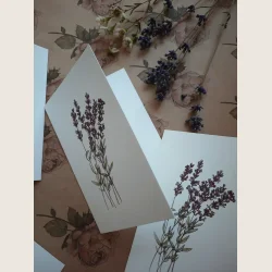 Kort med lavendel