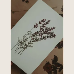 Kort med lavendel