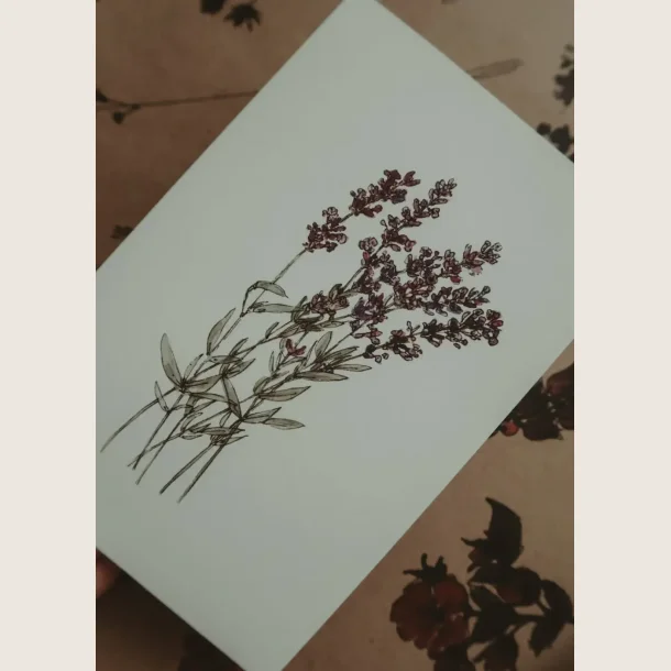 Kort med lavendel