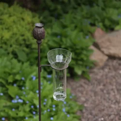 Regnm�ler med valmue