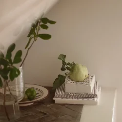 Servietter - stribet